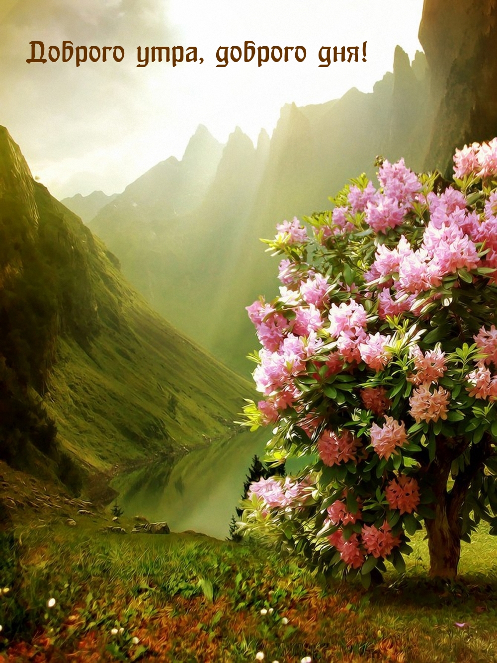 С первыми лучами утреннего солнца пробуждается и вся наша душа. Новый день – это новая возможность начать все с чистого лица, исправить ошибки прошлого и насладиться прекрасными моментами, которые он несет с собой. С первыми лучами утреннего солнца пробуждается и вся наша душа. Новый день – это новая возможность начать все с чистого лица, исправить ошибки прошлого и насладиться прекрасными моментами, которые он несет с собой.