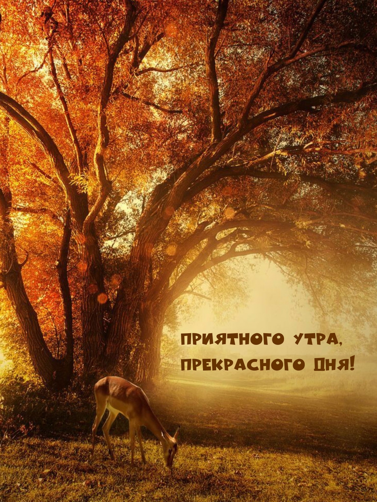 Медленно задохновляться свежим воздухом, наслаждаться ароматом цветущих цветов и слушать приятное щебетание птиц – вот что дарит нам доброе утро. Медленно задохновляться свежим воздухом, наслаждаться ароматом цветущих цветов и слушать приятное щебетание птиц – вот что дарит нам доброе утро.