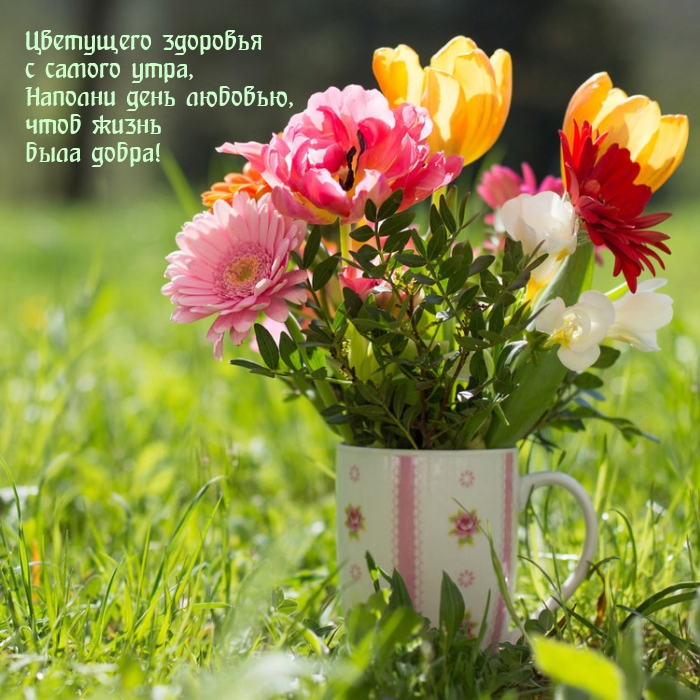 Пусть солнце освещает твои дни, а луна украшает твои ночи. Я желаю тебе ощущать бесконечную любовь и счастье каждую секунду своей жизни. Ты - мое вдохновение и для меня нет ничего большего, чем видеть тебя счастливой. Пусть солнце освещает твои дни, а луна украшает твои ночи. Я желаю тебе ощущать бесконечную любовь и счастье каждую секунду своей жизни. Ты - мое вдохновение и для меня нет ничего большего, чем видеть тебя счастливой.