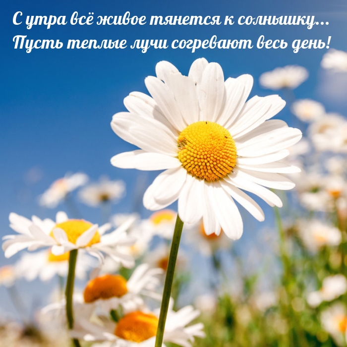 Ты самая прекрасная женщина во вселенной, и я дарю тебе свою любовь и заботу каждый день. Пусть эти слова утреннего пожелания привнесут в твою жизнь дополнительную порцию радости и счастья. Оставайся такой же чудесной, какая ты есть, и позволь этому дню быть началом чего-то волшебного. Ты самая прекрасная женщина во вселенной, и я дарю тебе свою любовь и заботу каждый день. Пусть эти слова утреннего пожелания привнесут в твою жизнь дополнительную порцию радости и счастья. Оставайся такой же чудесной, какая ты есть, и позволь этому дню быть началом чего-то волшебного.