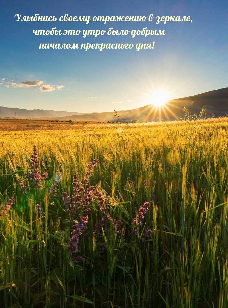 Я Хочу, чтобы ты знала, что каждое прикосновение, каждый поцелуй и каждое движение – это выражение моей любви и страсти к тебе. Я Хочу, чтобы ты знала, что каждое прикосновение, каждый поцелуй и каждое движение – это выражение моей любви и страсти к тебе.