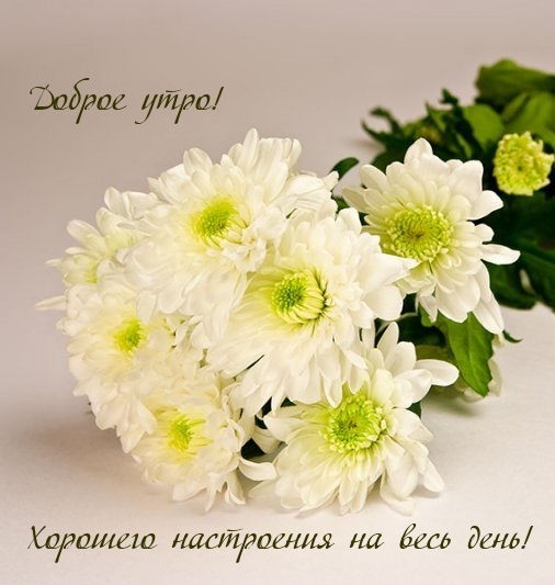 Милая Хочу, чтобы наши тела стали единой единицей, слиянием страсти и желания. Милая Хочу, чтобы наши тела стали единой единицей, слиянием страсти и желания.