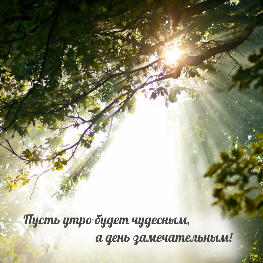 Но помимо физической стороны, мои пожелания также включают эмоциональную связь и глубокое понимание. Но помимо физической стороны, мои пожелания также включают эмоциональную связь и глубокое понимание.