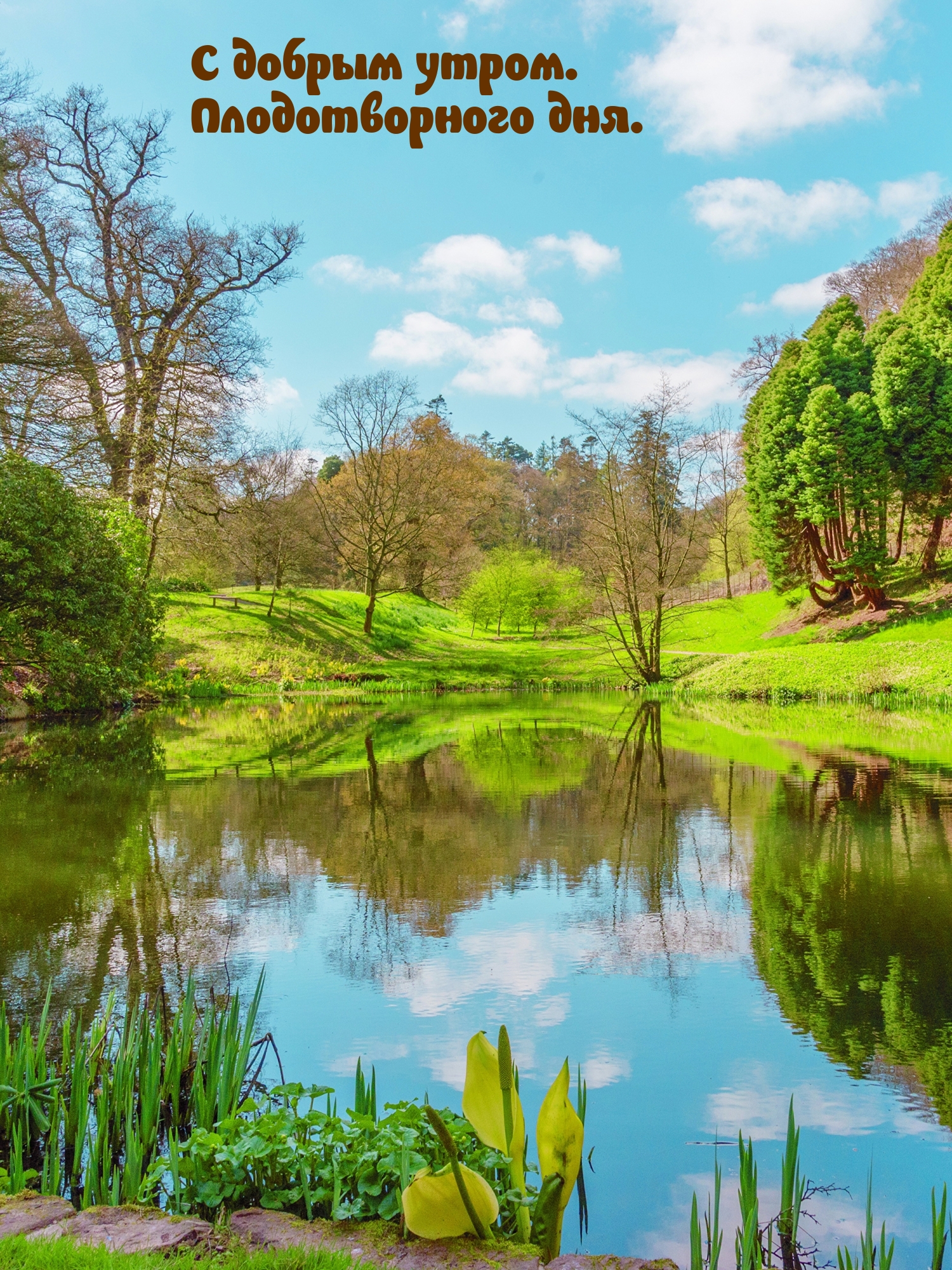 Я хочу быть твоим сексуальным партнером и лучшим другом одновременно. Я хочу быть твоим сексуальным партнером и лучшим другом одновременно.