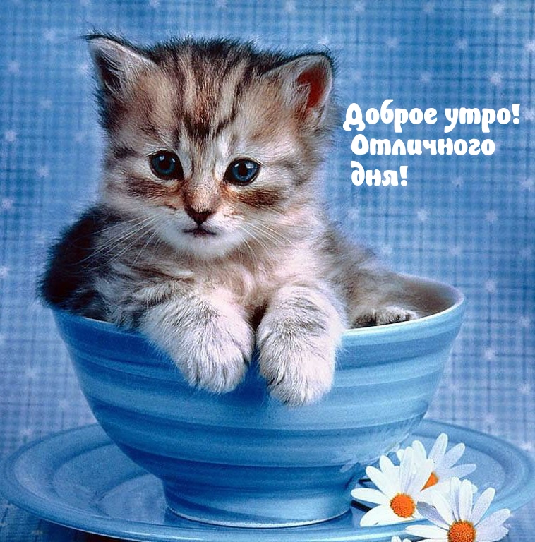 Наконец, хочу, чтобы наши сексуальные пожелания восхищали друг друга, чтобы мы воплощали самые смелые и фантастические фантазии в реальность. Наконец, хочу, чтобы наши сексуальные пожелания восхищали друг друга, чтобы мы воплощали самые смелые и фантастические фантазии в реальность.