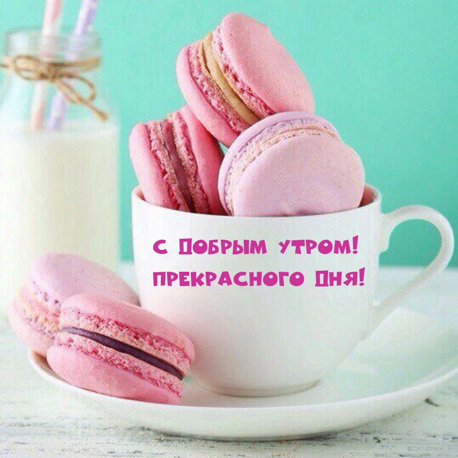 Таким образом, мои сексуальные пожелания с добрым утром женщине – это воплощение любви, страсти и взаимопонимания. Таким образом, мои сексуальные пожелания с добрым утром женщине – это воплощение любви, страсти и взаимопонимания.