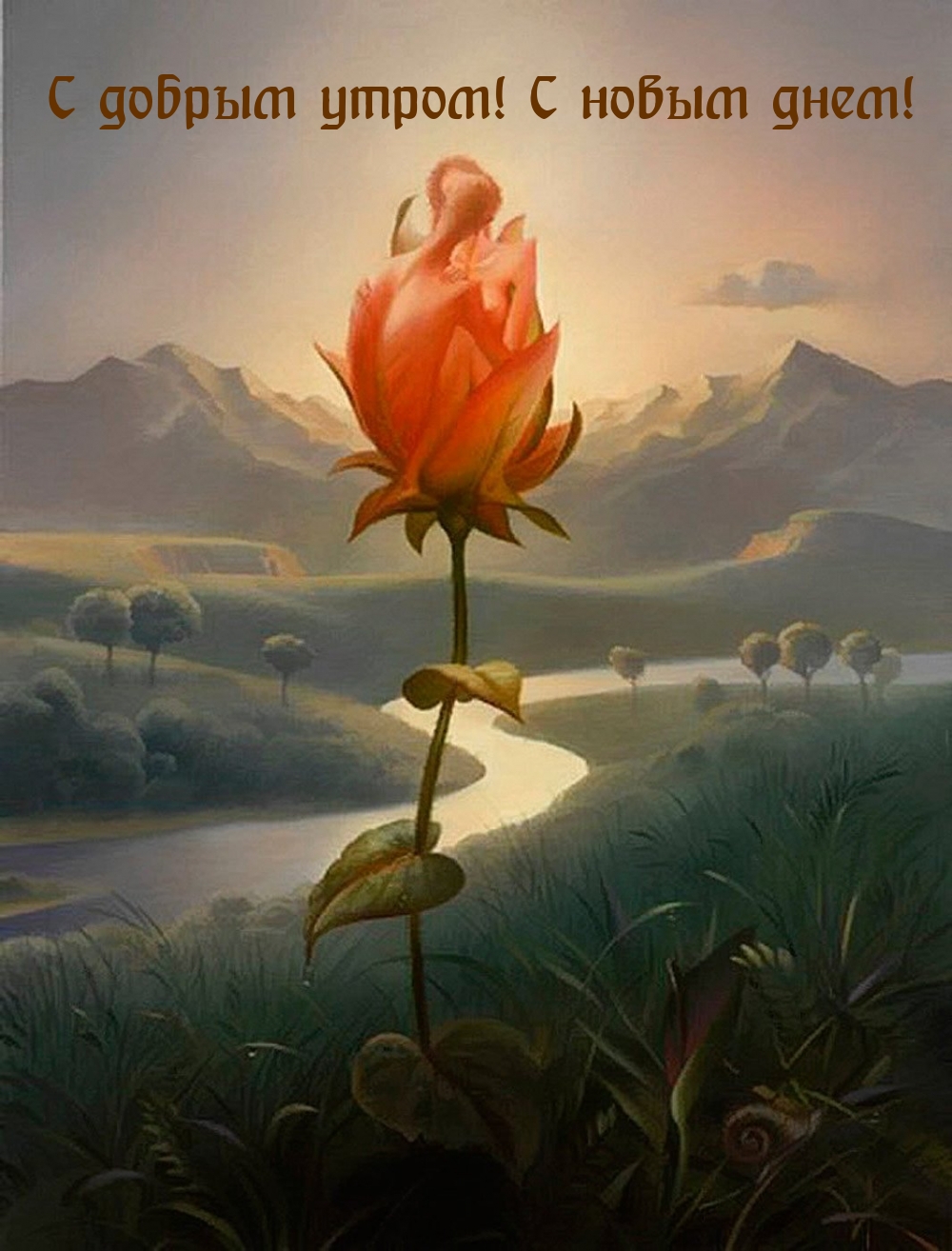 Доброе утро, дорогой друг! Хочу отправить тебе самые теплые пожелания на этот новый день. Пусть солнце тебя освещает ярче всех звезд, а радость наполняет твою душу безраздельно. Доброе утро, дорогой друг! Хочу отправить тебе самые теплые пожелания на этот новый день. Пусть солнце тебя освещает ярче всех звезд, а радость наполняет твою душу безраздельно.