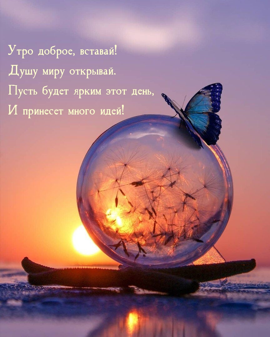 Ступай смело вперед, и пусть успех всегда будет твоим спутником, Доброе утро! Ступай смело вперед, и пусть успех всегда будет твоим спутником, Доброе утро!