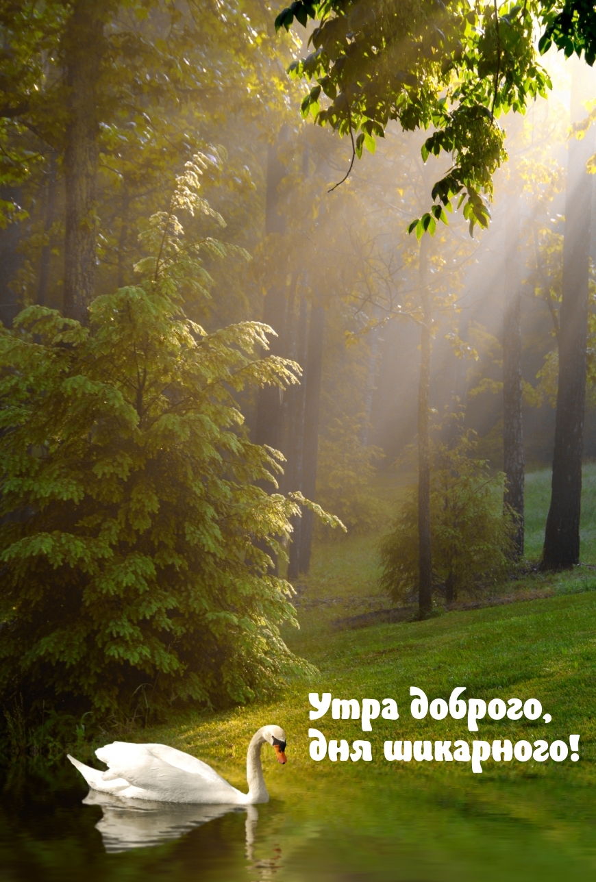 Хостинг картинок yapx.ru