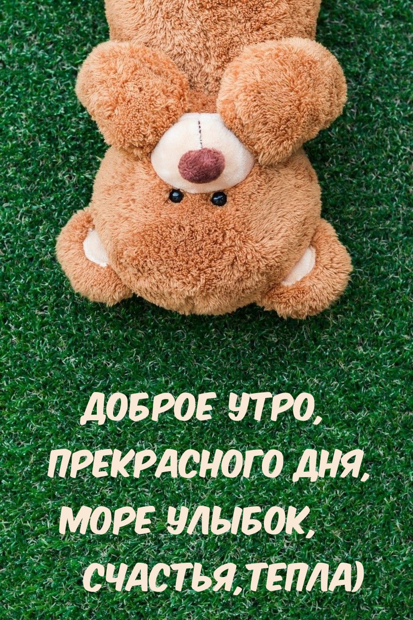 Хостинг картинок yapx.ru