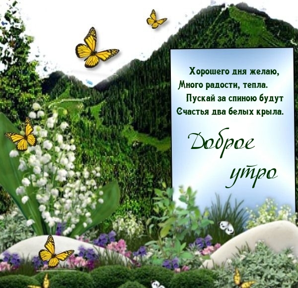 Хостинг картинок yapx.ru