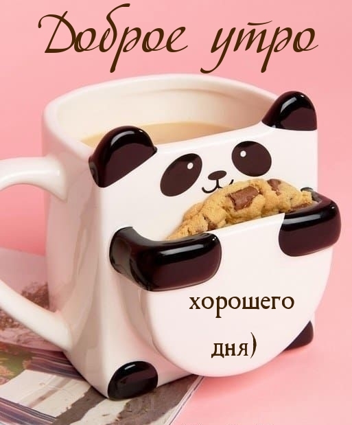 Хостинг картинок yapx.ru