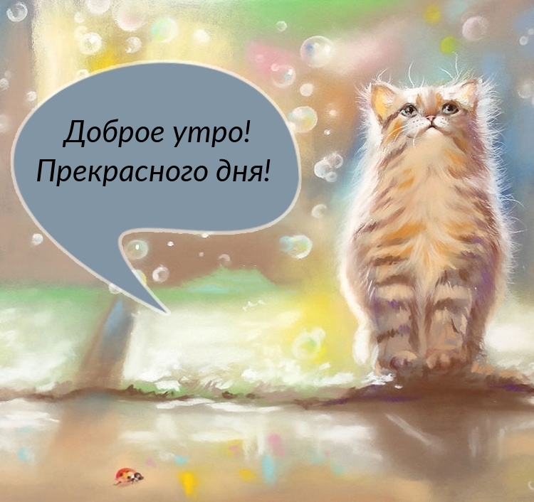 Хостинг картинок yapx.ru