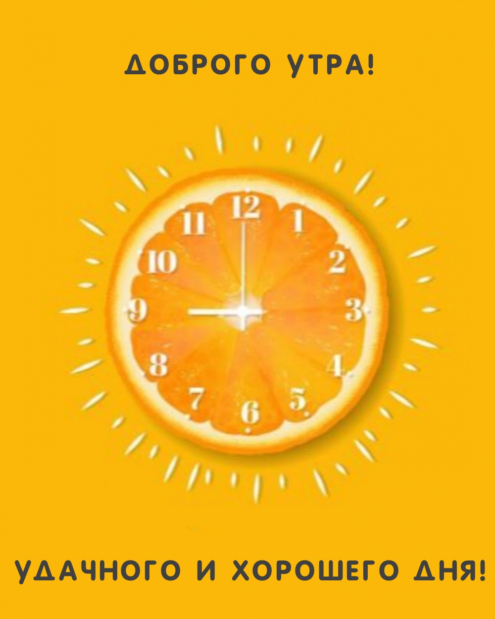 Хостинг картинок yapx.ru