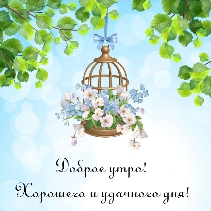 Хостинг картинок yapx.ru