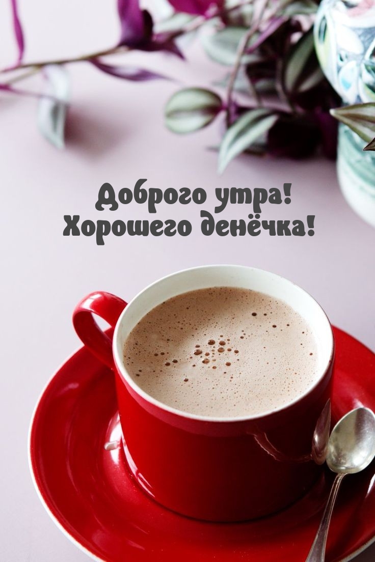 Хостинг картинок yapx.ru