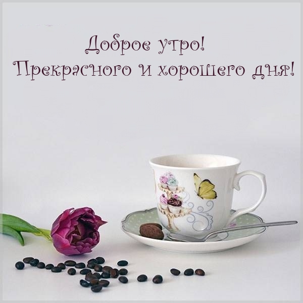 Хостинг картинок yapx.ru