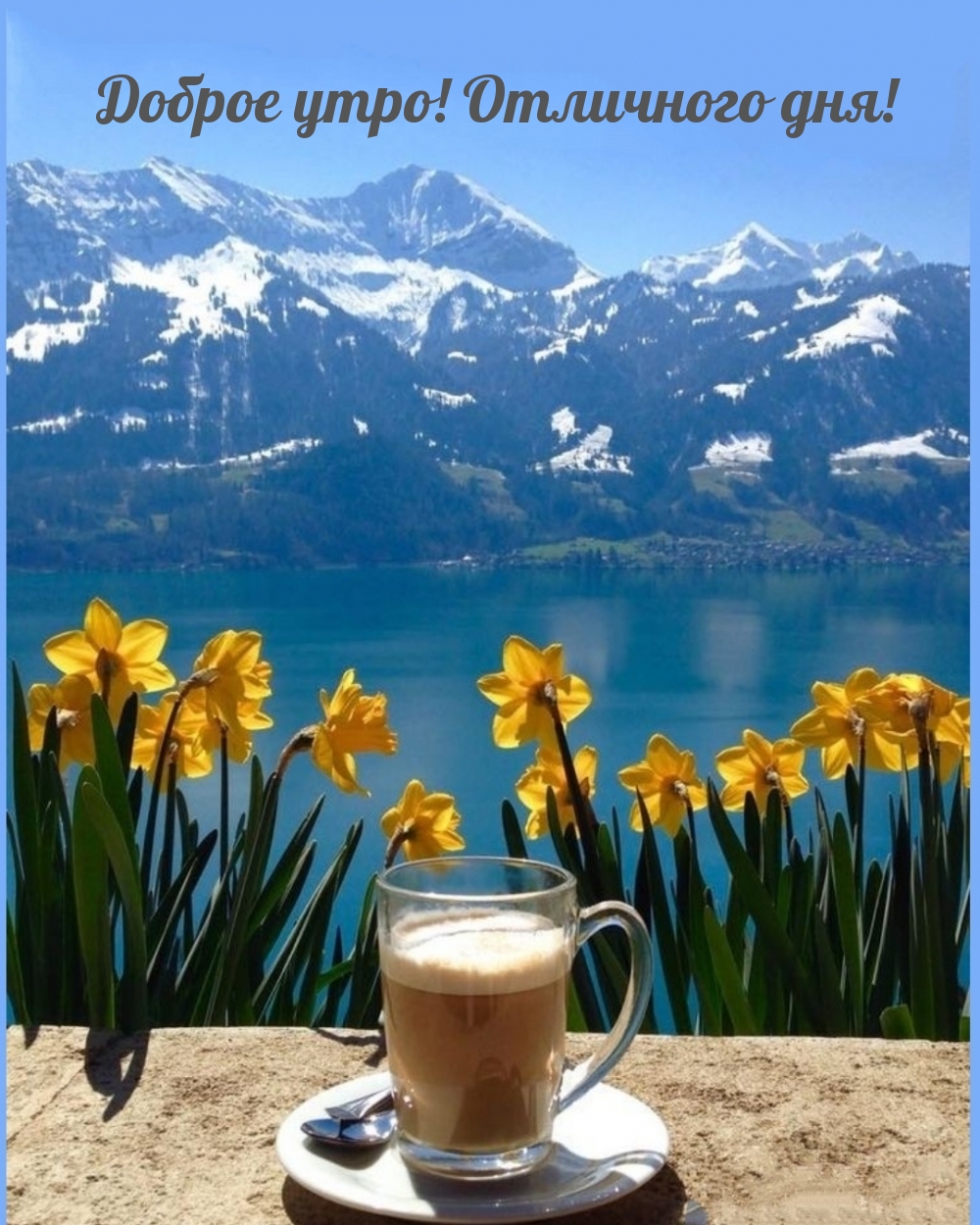 Хостинг картинок yapx.ru