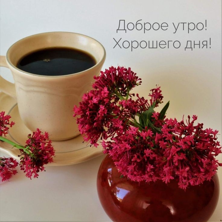 Хостинг картинок yapx.ru