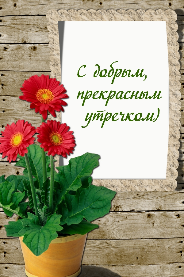 Хостинг картинок yapx.ru