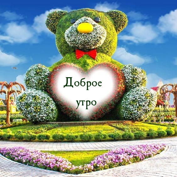 Хостинг картинок yapx.ru