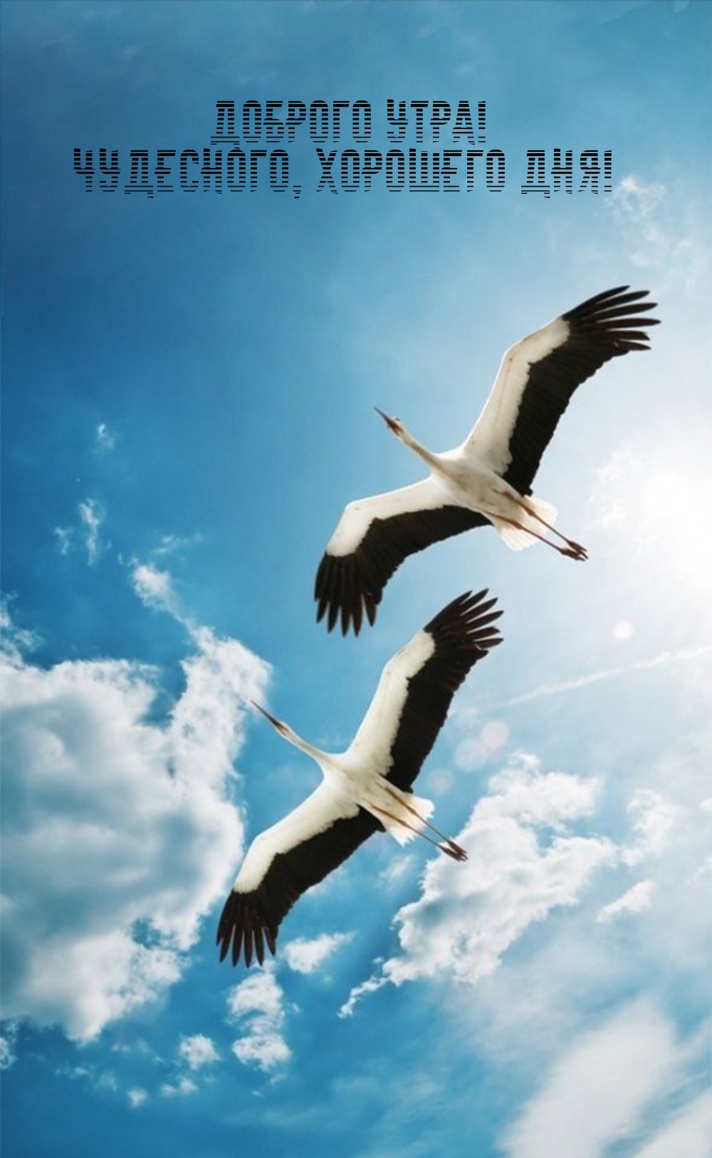 Хостинг картинок yapx.ru