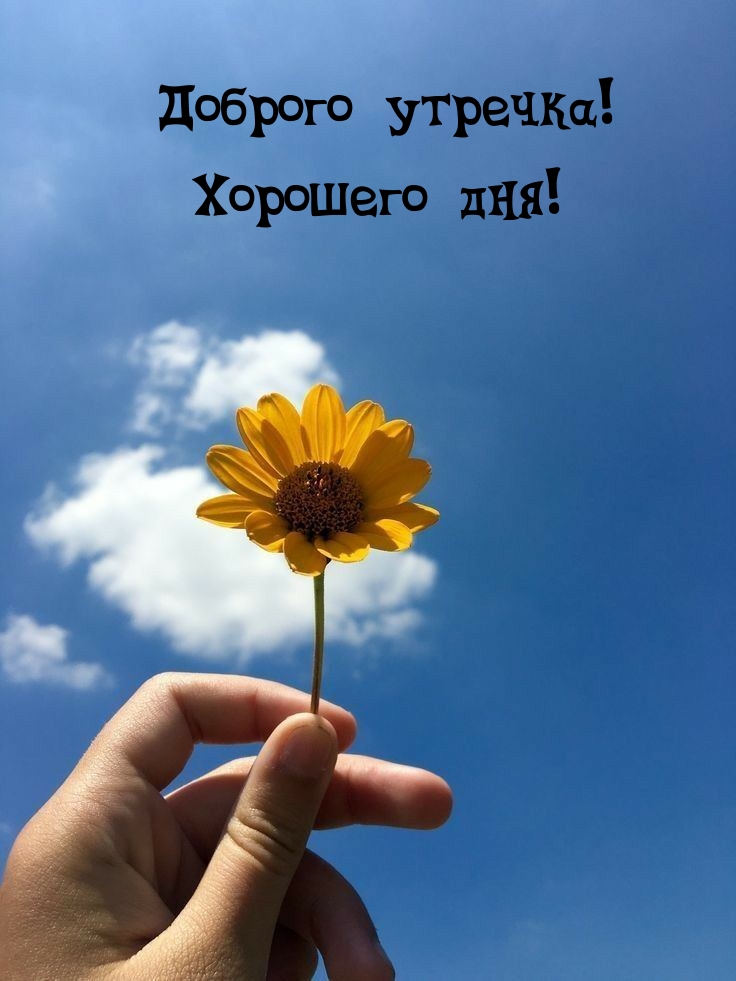 Хостинг картинок yapx.ru