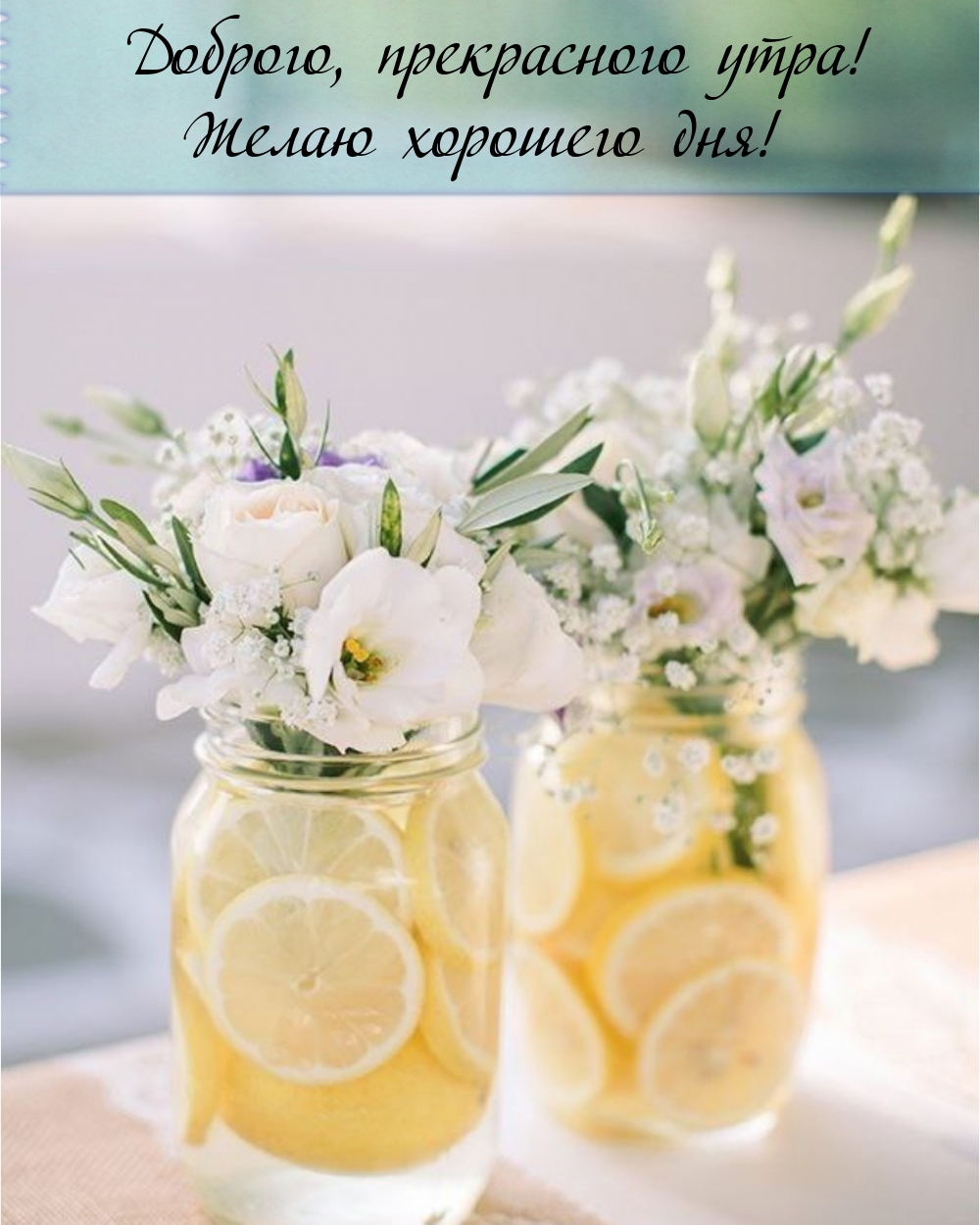 Хостинг картинок yapx.ru