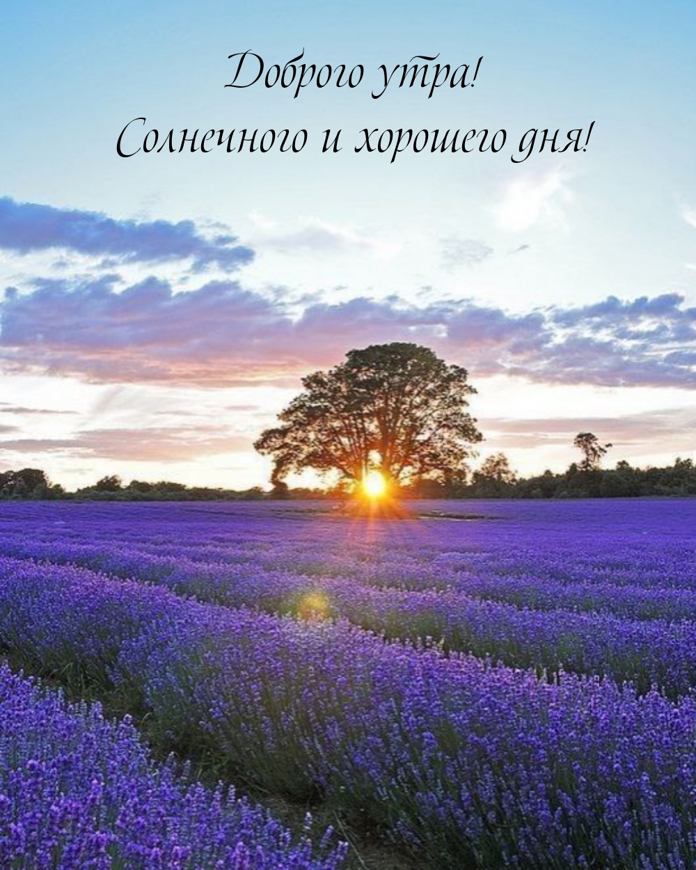 Хостинг картинок yapx.ru