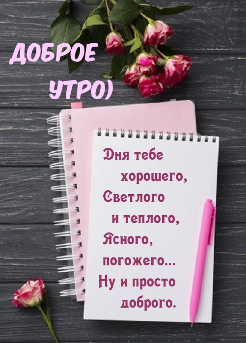 Хостинг картинок yapx.ru