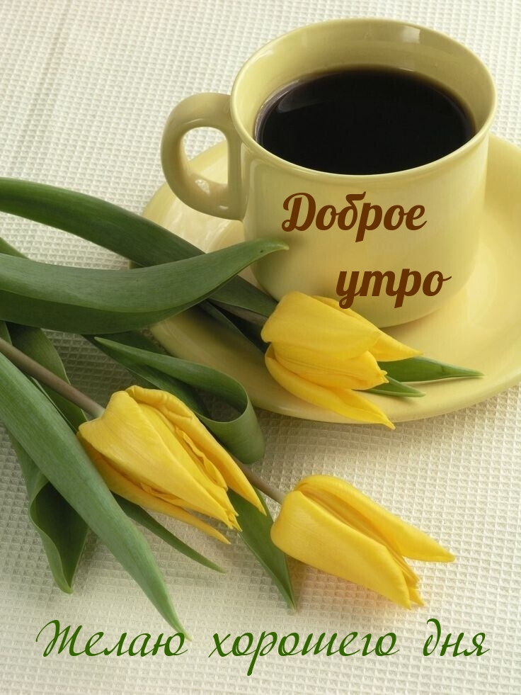 Хостинг картинок yapx.ru