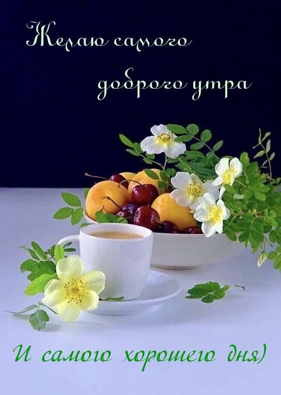 Хостинг картинок yapx.ru