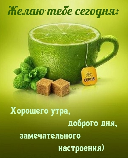 Хостинг картинок yapx.ru