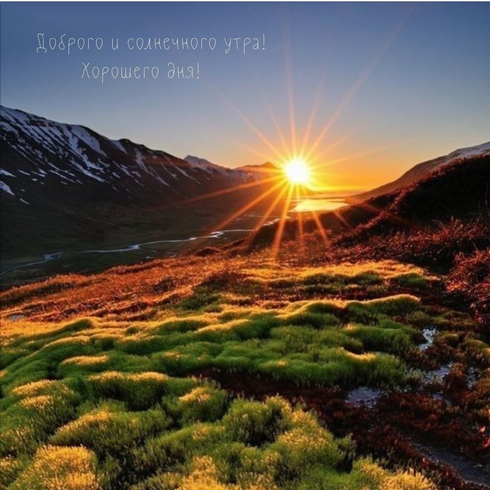 Хостинг картинок yapx.ru