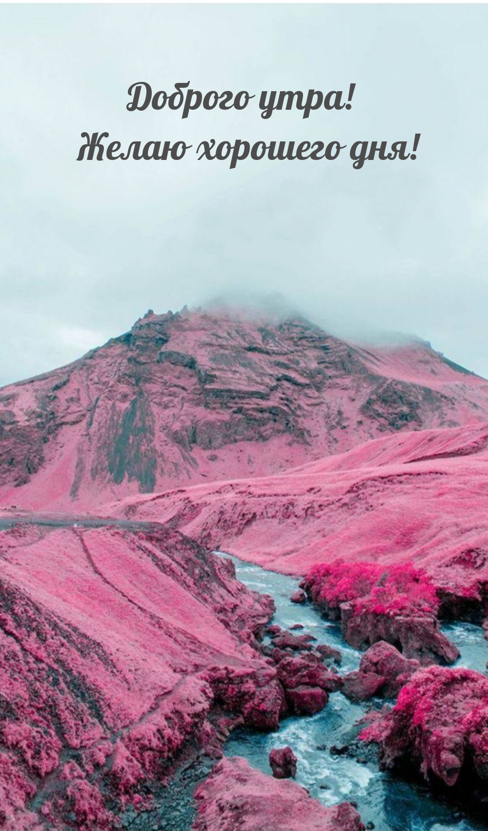 Хостинг картинок yapx.ru