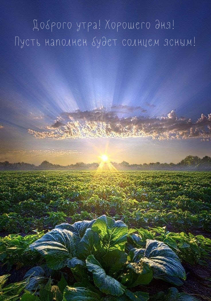 Хостинг картинок yapx.ru