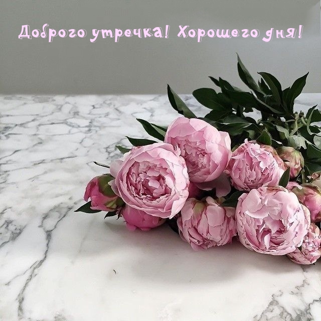 Хостинг картинок yapx.ru