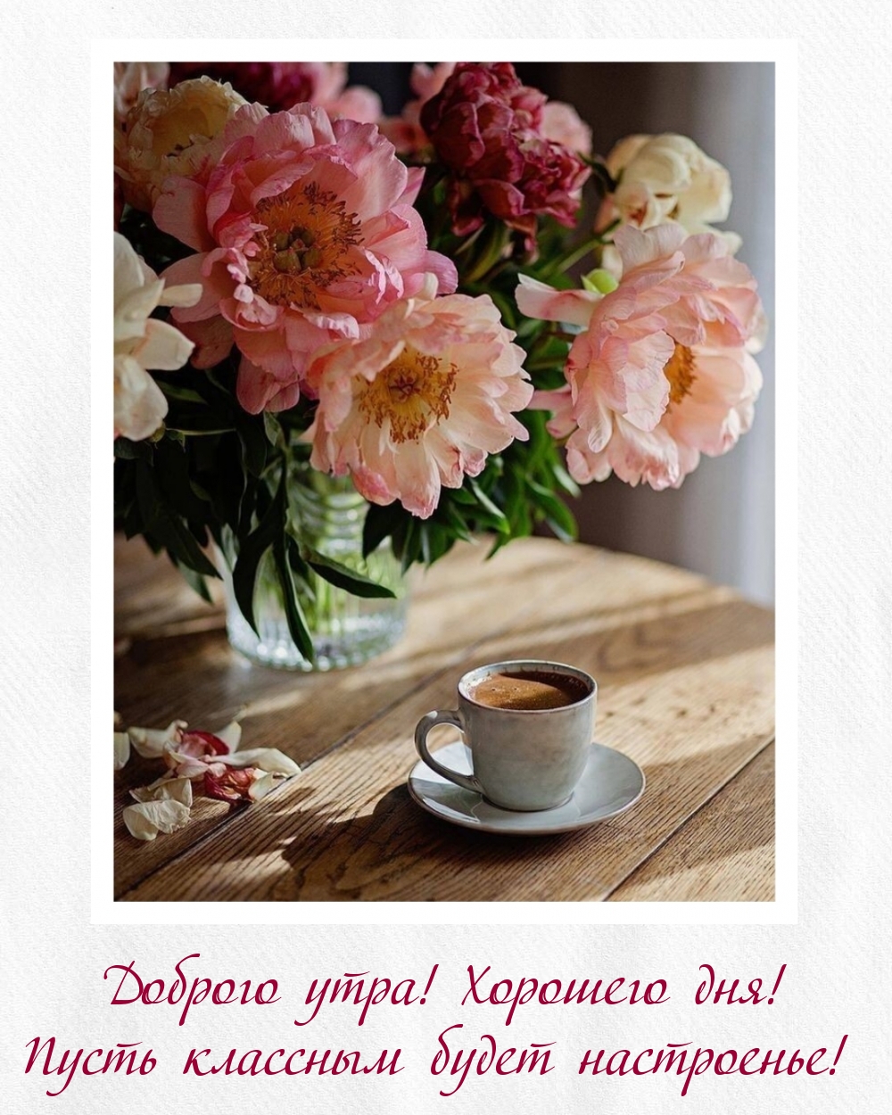 Хостинг картинок yapx.ru