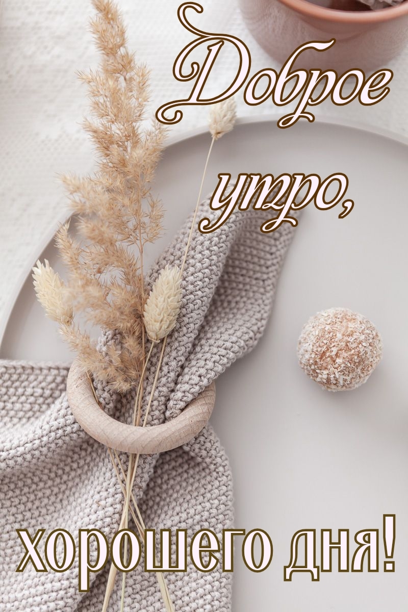 Хостинг картинок yapx.ru