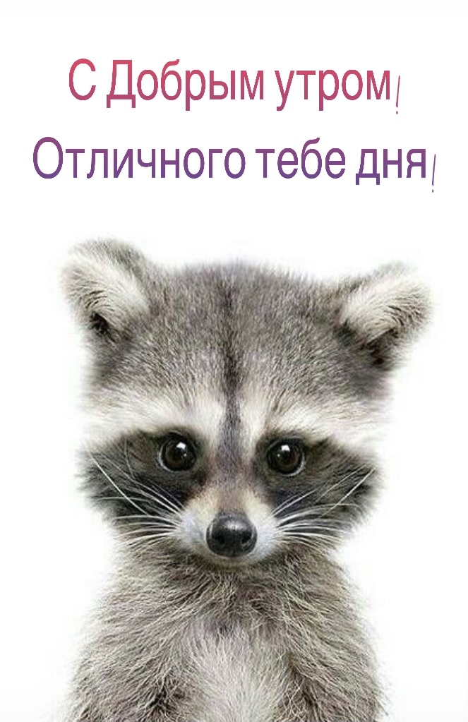 Хостинг картинок yapx.ru