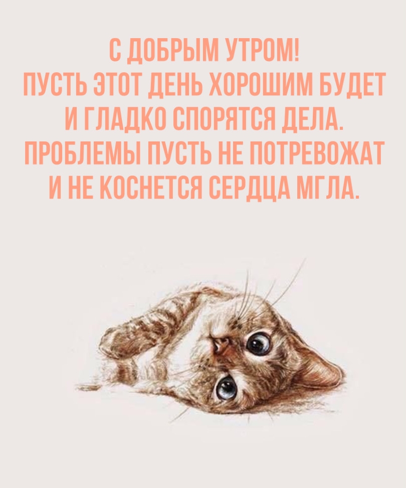 Хостинг картинок yapx.ru