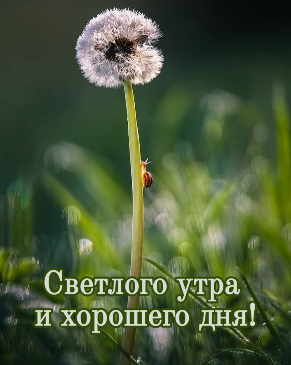 Хостинг картинок yapx.ru