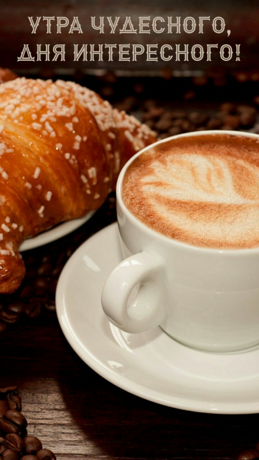 Хостинг картинок yapx.ru