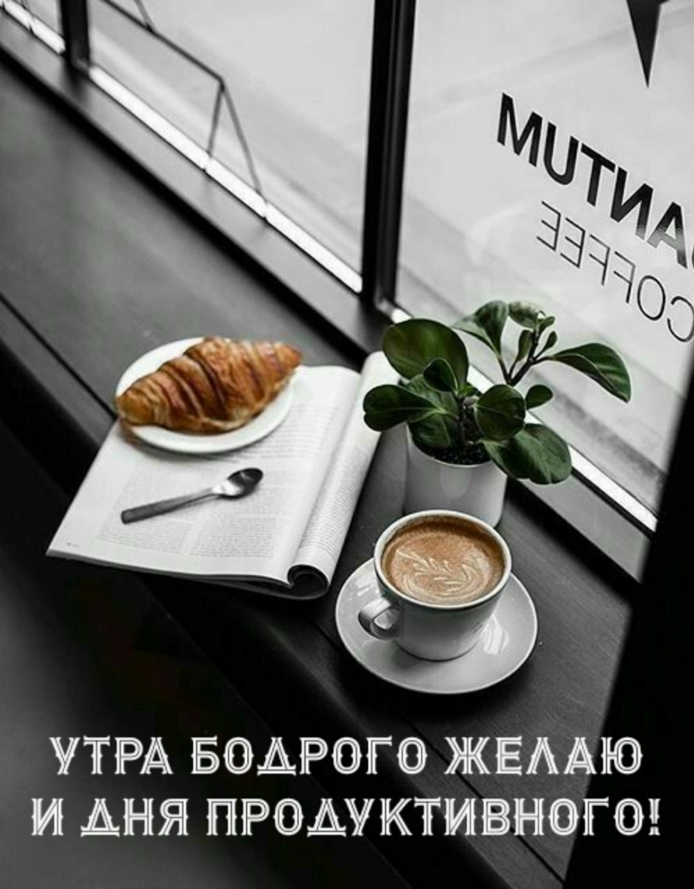 Хостинг картинок yapx.ru