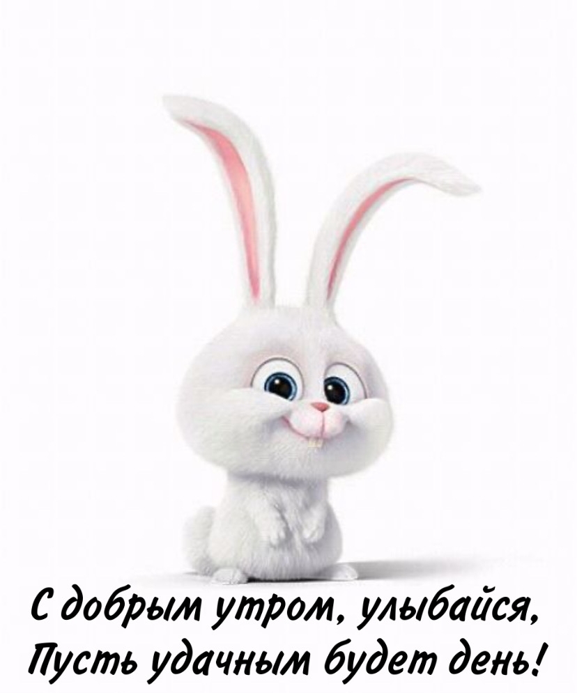 Хостинг картинок yapx.ru