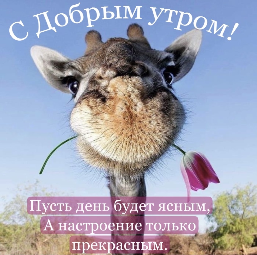 Хостинг картинок yapx.ru