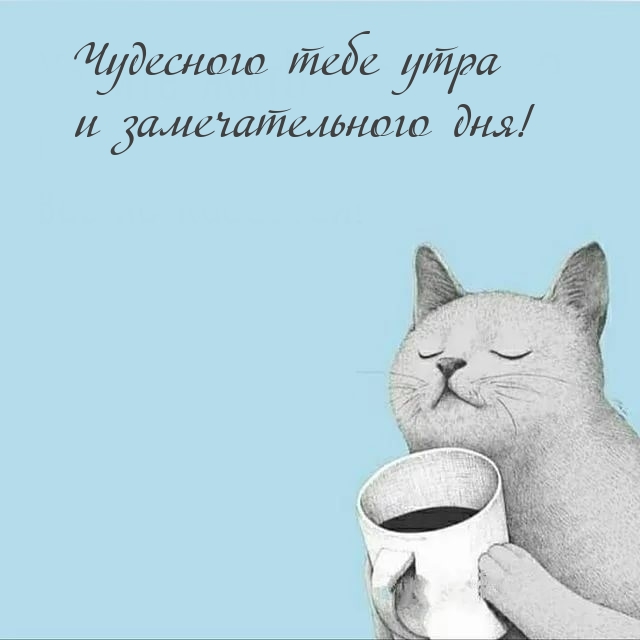 Хостинг картинок yapx.ru