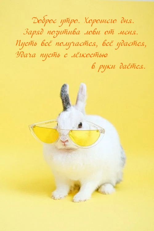 Хостинг картинок yapx.ru