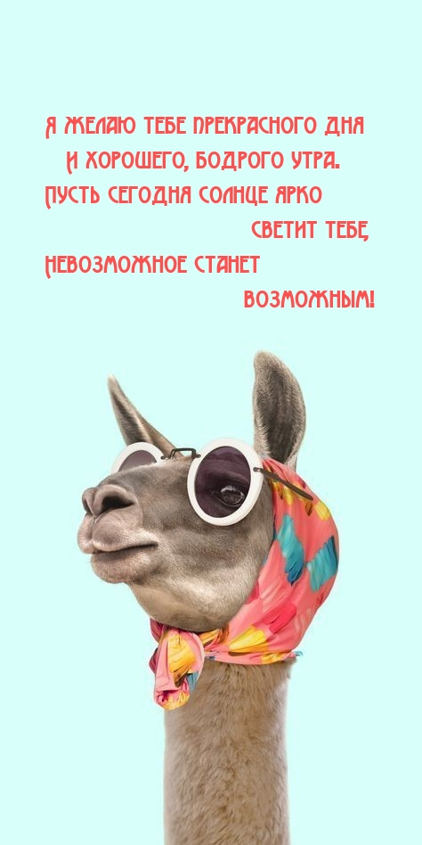 Хостинг картинок yapx.ru