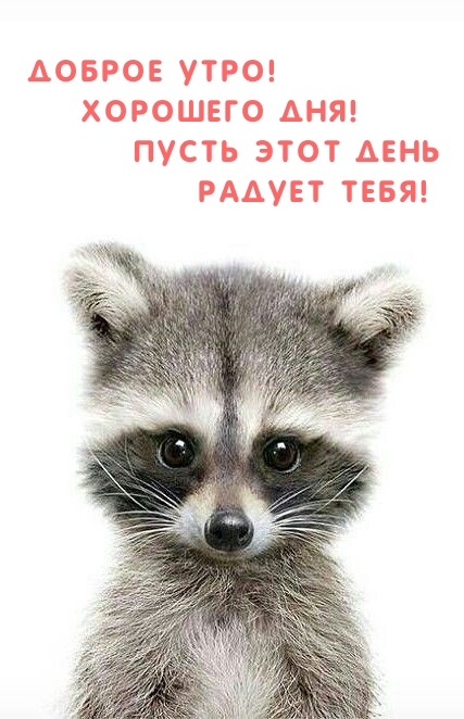 Хостинг картинок yapx.ru